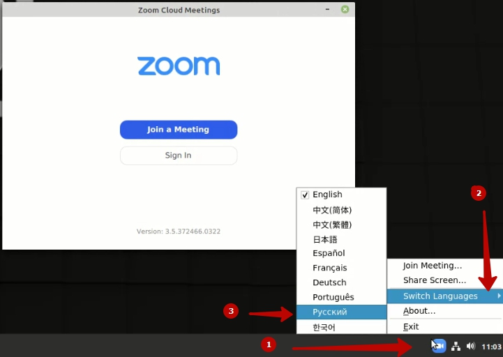 Язык зуму. Zoom установить на компьютер. Смена языка в Zoom. Как поменять язык в зуме. Как перевести зум на русский язык на компьютере.